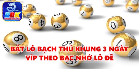 Hướng Dẫn Nuôi Lô Bạch Thủ Khung 3 Ngày Víp Chuẩn Xác Nhất