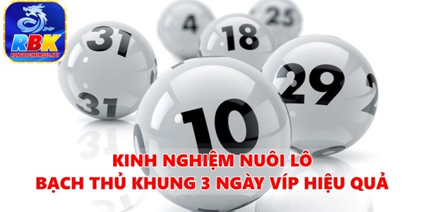 Hướng Dẫn Nuôi Lô Bạch Thủ Khung 3 Ngày Víp Chuẩn Xác Nhất