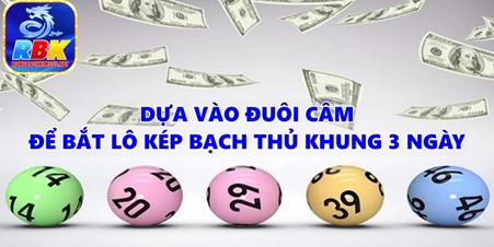 Nuôi Lô Kép Bạch Thủ Khung 3 Ngày Chính Xác Nhất