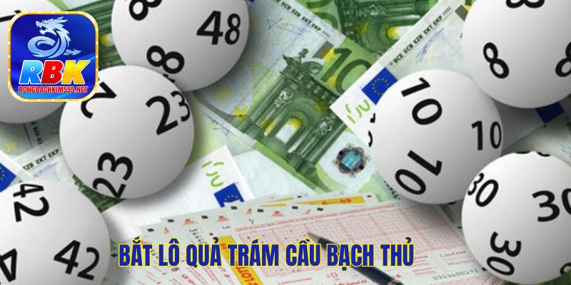 Nuôi Bạch Thủ Lô Khung 3 Ngày Tuyệt Đối Chính Xác 