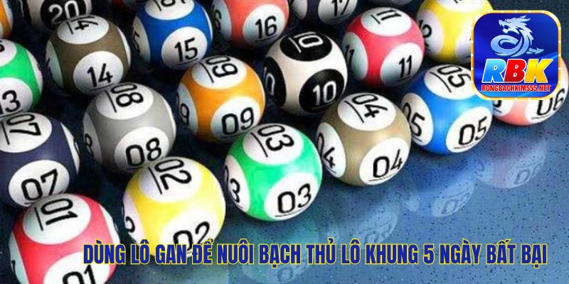 Nuôi Bạch Thủ Lô Khung 5 Ngày Bất Bại, Lô Đề Có Lãi