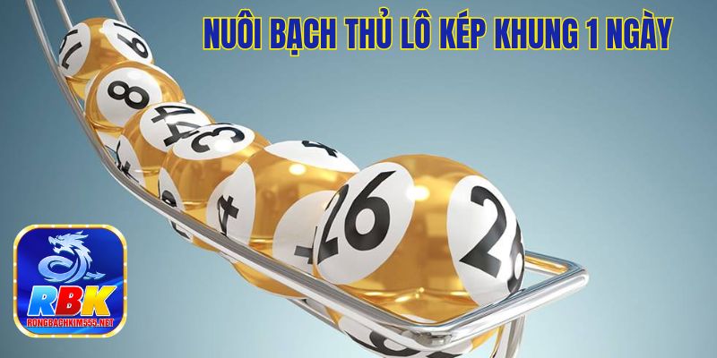 Nuôi Bạch Thủ Lô Kép Khung 1 Ngày Hiệu Quả, Chính Xác