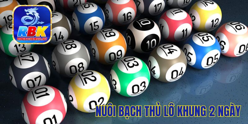 Mẹo Nuôi Bạch Thủ Lô Khung 2 Ngày Chắc Thắng