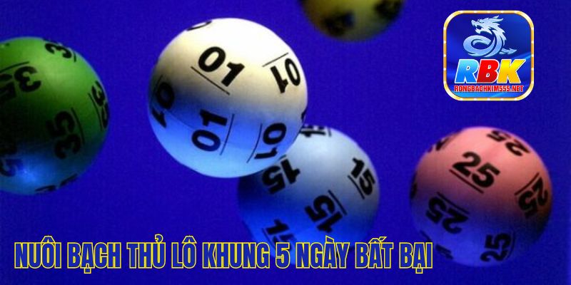 Nuôi Bạch Thủ Lô Khung 5 Ngày Bất Bại, Lô Đề Có Lãi