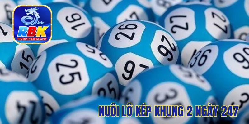 Nuôi Lô Kép Khung 2 Ngày 247 Siêu Chuẩn, Siêu Đỉnh