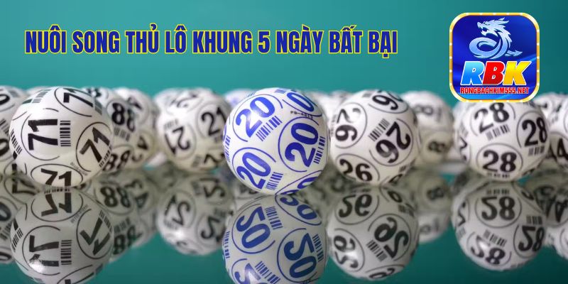 Nuôi Song Thủ Lô Khung 5 Ngày Bất Bại - Soi Cầu Chuẩn 