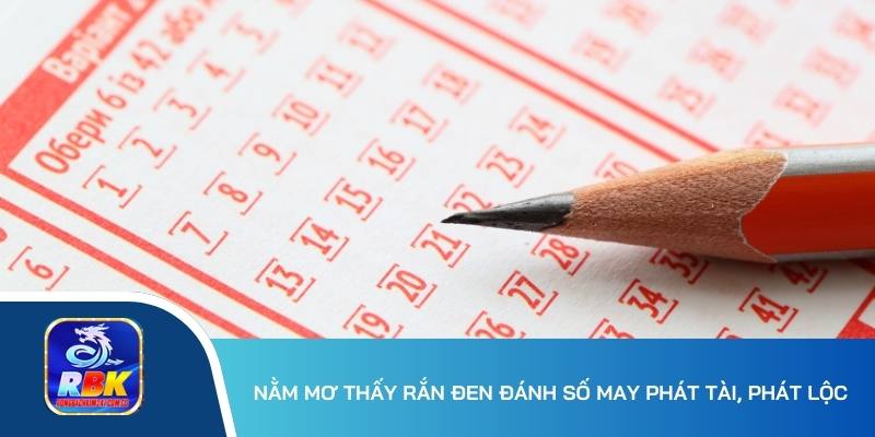 Mơ Thấy Rắn Đen Mang Đến Ý Nghĩa Gì? 20+ Cặp Số Bất Bại 