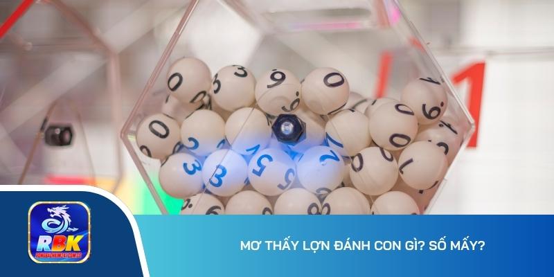 Mơ Thấy Lợn Đánh Con Gì, Số Mấy Dễ Trúng Độc Đắc?