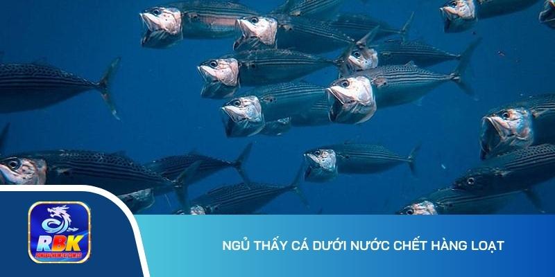 Nằm Mơ Thấy Cá Và Nước - Giải Mã Chi Tiết Từ A-Z