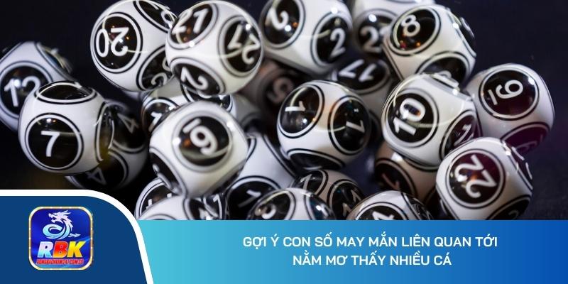 Nằm Mơ Thấy Nhiều Cá - Nguyên Nhân Chính & Lý Giải Giấc Mơ