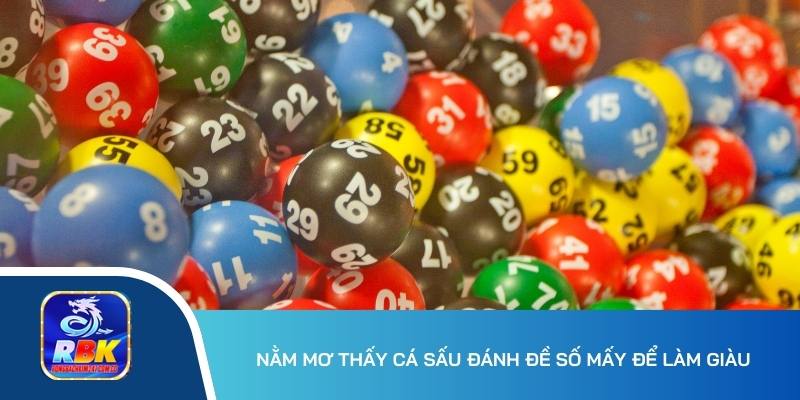 Nằm Mơ Thấy Cá Sấu Ý Nghĩa Gì? 15+ Cặp Số Đẹp Tương Ứng