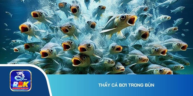 Nằm Mơ Thấy Cá Và Nước - Giải Mã Chi Tiết Từ A-Z