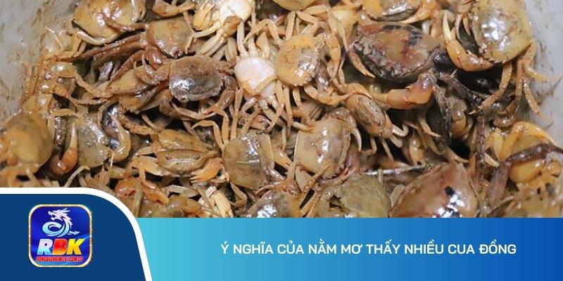 Nằm Mơ Thấy Nhiều Cua Đồng - Gợi Ý Bộ Số May Mắn