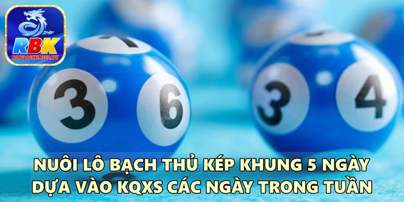 Những Phương Pháp Nuôi Lô Bạch Thủ Kép Khung 5 Ngày Hiệu Quả