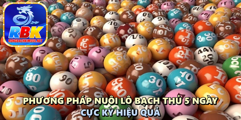 Lô Bạch Thủ Khung 5 Ngày Víp: Cách Soi Cầu Hay Từ Cao Thủ