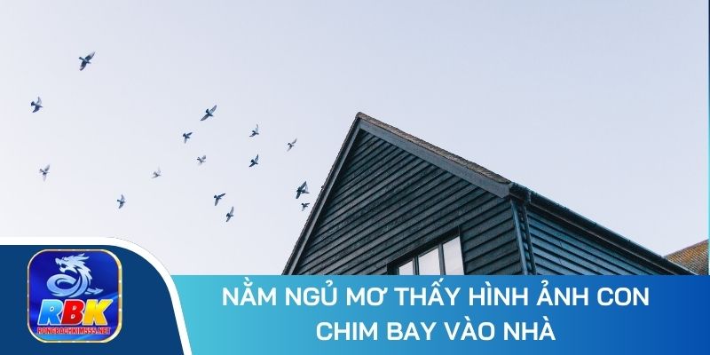 Phân Tích Giấc Mơ Thấy Chim: Ý Nghĩa, Các Con Số May Mắn