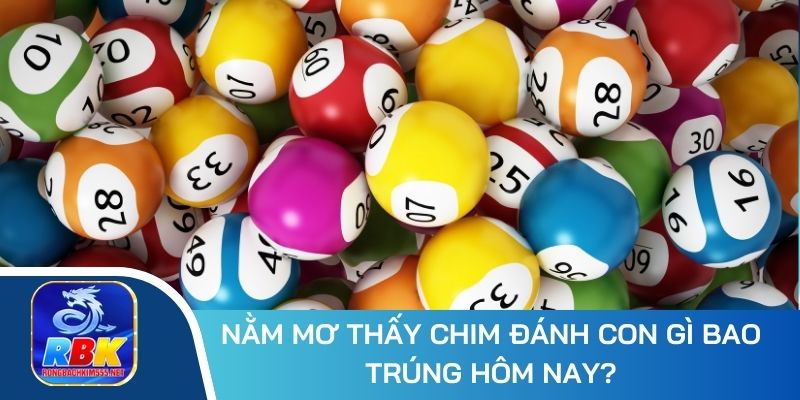 Phân Tích Giấc Mơ Thấy Chim: Ý Nghĩa, Các Con Số May Mắn