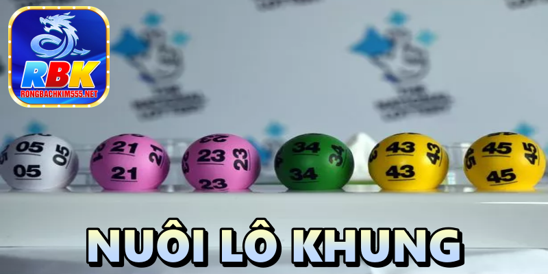 Chuyên Mục Nuôi Lô Khung Tại Rồng Bạch Kim 555