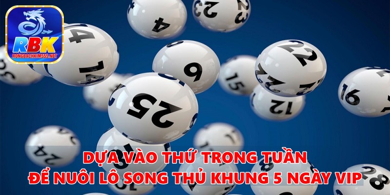 Lô Song Thủ Khung 5 Ngày Víp Hiệu Quả Từ Cao Thủ