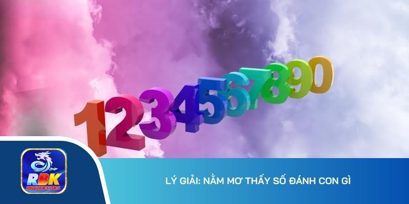 Nằm Mơ Thấy Số Đánh Con Gì? Lý Giải Chi Tiết