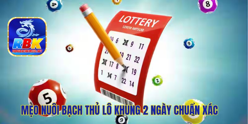 Mẹo Nuôi Bạch Thủ Lô Khung 2 Ngày Chắc Thắng