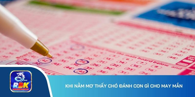 Nằm Mơ Thấy Chó Có Ý Nghĩa Gì Trong Cuộc Sống?