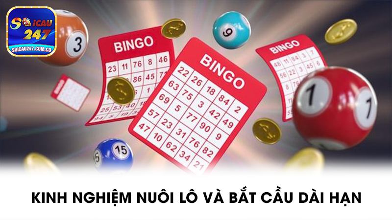 Giới thiệu về soi cầu 247 và nhu cầu người chơi