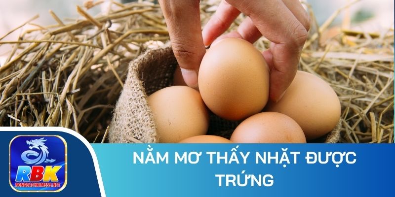 Nằm Mơ Thấy Nhặt Được Trứng - Ý Nghĩa Và Bộ Số May Mắn
